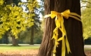 Tie a Yellow Ribbon Round the Ole Oak Tree - Karaoke Strumentale - Frank Sinatra - Playback MP3