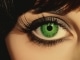 Green-Eyed Lady kustomoitu tausta - Sugarloaf