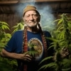 Weed With Willie