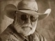 (What This World Needs Is) A Few More Rednecks custom accompaniment track - The Charlie Daniels Band