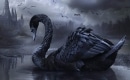 Karaoke de Swanheart - Nightwish - MP3 instrumental