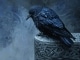 Playback MP3 A Bird Without Wings - Karaokê MP3 Instrumental versão popularizada por Celtic Thunder