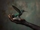 Hummingbird kustomoitu tausta - B.B. King