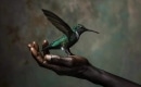 Hummingbird - B.B. King - Instrumental MP3 Karaoke Download