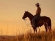If She Wants a Cowboy - Kitaratausta - Zach Bryan