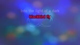 Singen Blackbiird Karaoke - Beyoncé - MP3 Karaoke