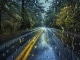 Rain in the Rearview niestandardowy podkład - Anne Wilson