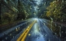 Rain in the Rearview - Karaokê Instrumental - Anne Wilson - Playback MP3