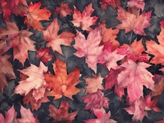 Karaoke Somewhere Only We Know - Video with Lyrics - Keane