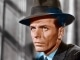 What'll I Do custom accompaniment track - Frank Sinatra