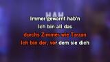 Schlechtes Vorbild Karaoke - Sido