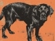 Black Dog base personalizzata - Led Zeppelin