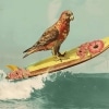 Surfin' Bird