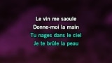 Video Karaoke Le vin me saoule - Nicolas Peyrac