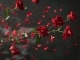 Roses Are Falling niestandardowy podkład - Orville Peck