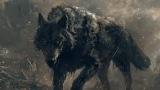 Wolf Totem
