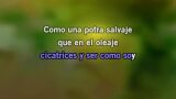 Video Karaoke Potra Salvaje - Isabel Aaiún