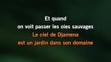 Video Karaoke Liedje Les oies sauvages - Jean-Pax Méfret