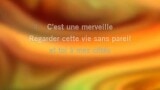 Merveille Karaoke - Jean-Louis Aubert