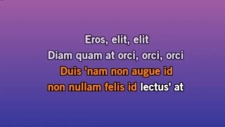 Customize the song lyrics Lies Lies Lies made famous by Morgan Wallen