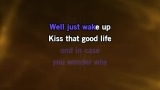 Video Karaoke Liedje The Good Life - Frank Sinatra