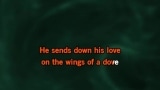 Video Karaoke Liedje Wings of a Dove - Charley Pride