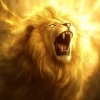 God's Not Dead (Like a Lion)