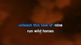 Video Karaoke Liedje Run Wild Horses - Aaron Watson