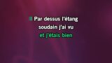 Video Karaoke Les oies sauvages - Yann Muller - Karaoke Canzoni