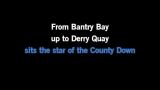 Star of the County Down Karaoke - The Whistlin' Donkeys