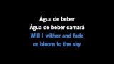 Agua de beber (Water to Drink) Karaoke - Sophie Milman