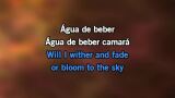 Video Karaoke Liedje Agua de beber (Water to Drink) - Sophie Milman