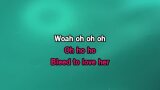 Bleed to Love Her Karaoke - Fleetwood Mac