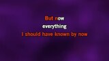 Everything's Coming Up Roses Karaoke - Black