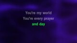 You're My World (Il Mio Mondo) Karaoke - Patrizio Buanne