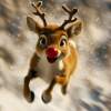 Run Run Rudolph