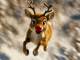 Instrumental MP3 Run Run Rudolph - Karaoke MP3 as made famous by Luke Bryan