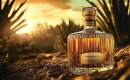 Casamigos - Karaoké Instrumental - Koe Wetzel - Playback MP3 Casamigos - Karaoké Instrumental - Koe Wetzel - Playback MP3