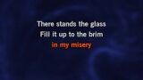 There Stands the Glass (live) Karaoke - George Strait