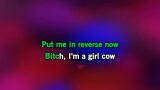 Video Karaoke Midnight Cowboy - Jade