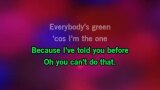 You Can't Do That Karaoke - Blues Beatles