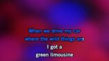 Karaoké Green Limousine - The Badloves