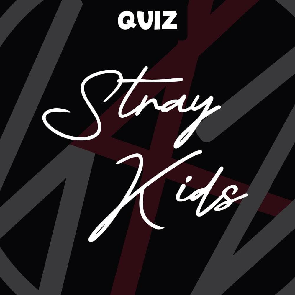 Discover the Stray Kids (스트레이 키즈) Quiz on our app! | KaraFun