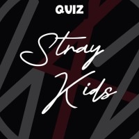 Stray Kids (스트레이 키즈)