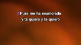 Video Karaoke Me quedo contigo - Los Chunguitos