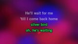 Silver Bird (english version) Karaoke - Tina Rainford