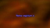 Karaoké Vegbúi - KK