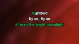 Nightbird Karaoke - Kalapana