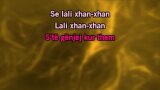 Karaoké Të ka lali shpirt - Silva Gunbardhi