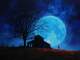Blue Moon of Kentucky aangepaste backing-track - Alan Jackson